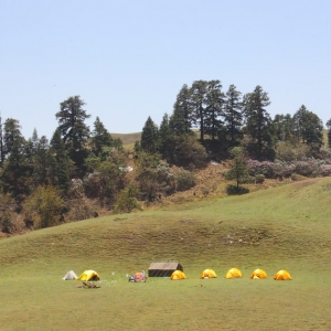 Campsite at Dayara Bugyal.